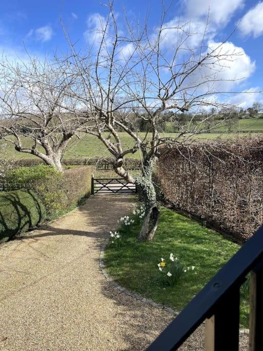 Little Studio Annexe Marlow (Buckinghamshire) Exterior foto